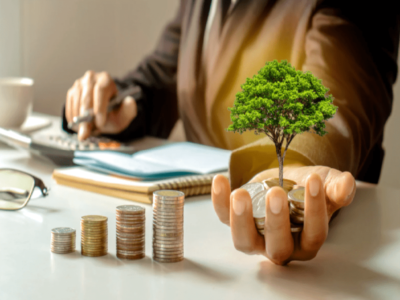 Xúc tiến đầu tư